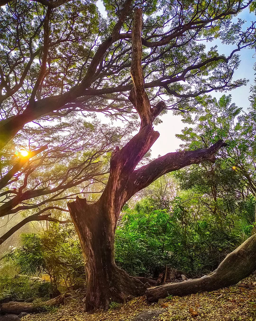 Antharagange sunrise view from Bangalore trek