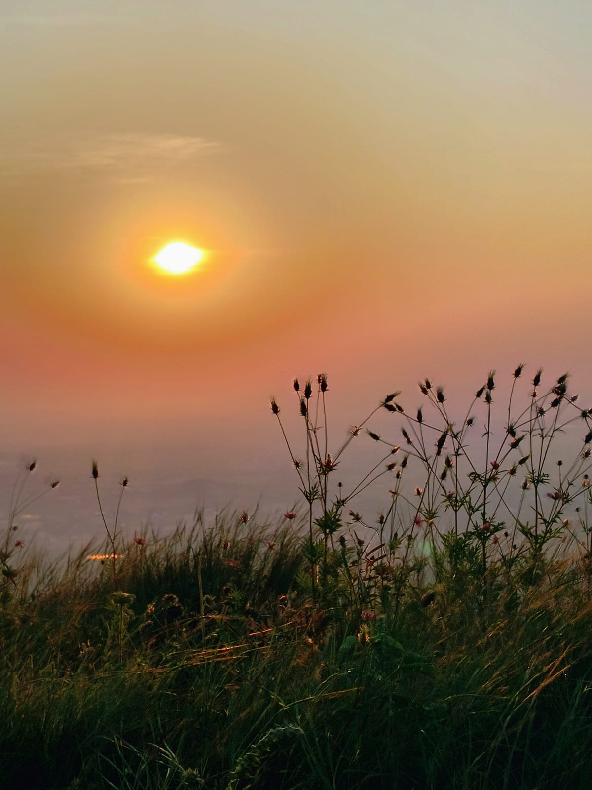 Savandurga summit view