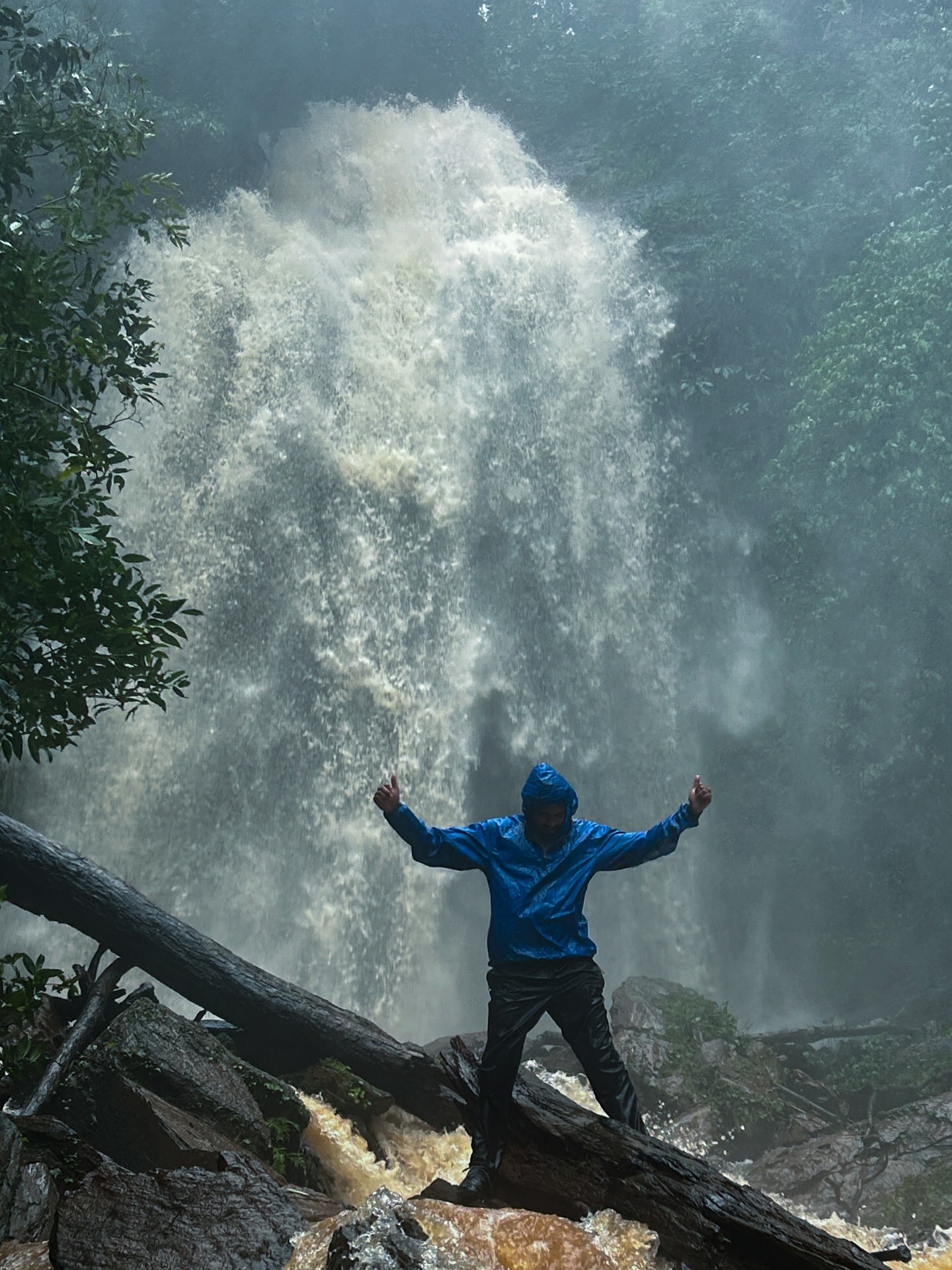 Kodachadri Trekking Trail