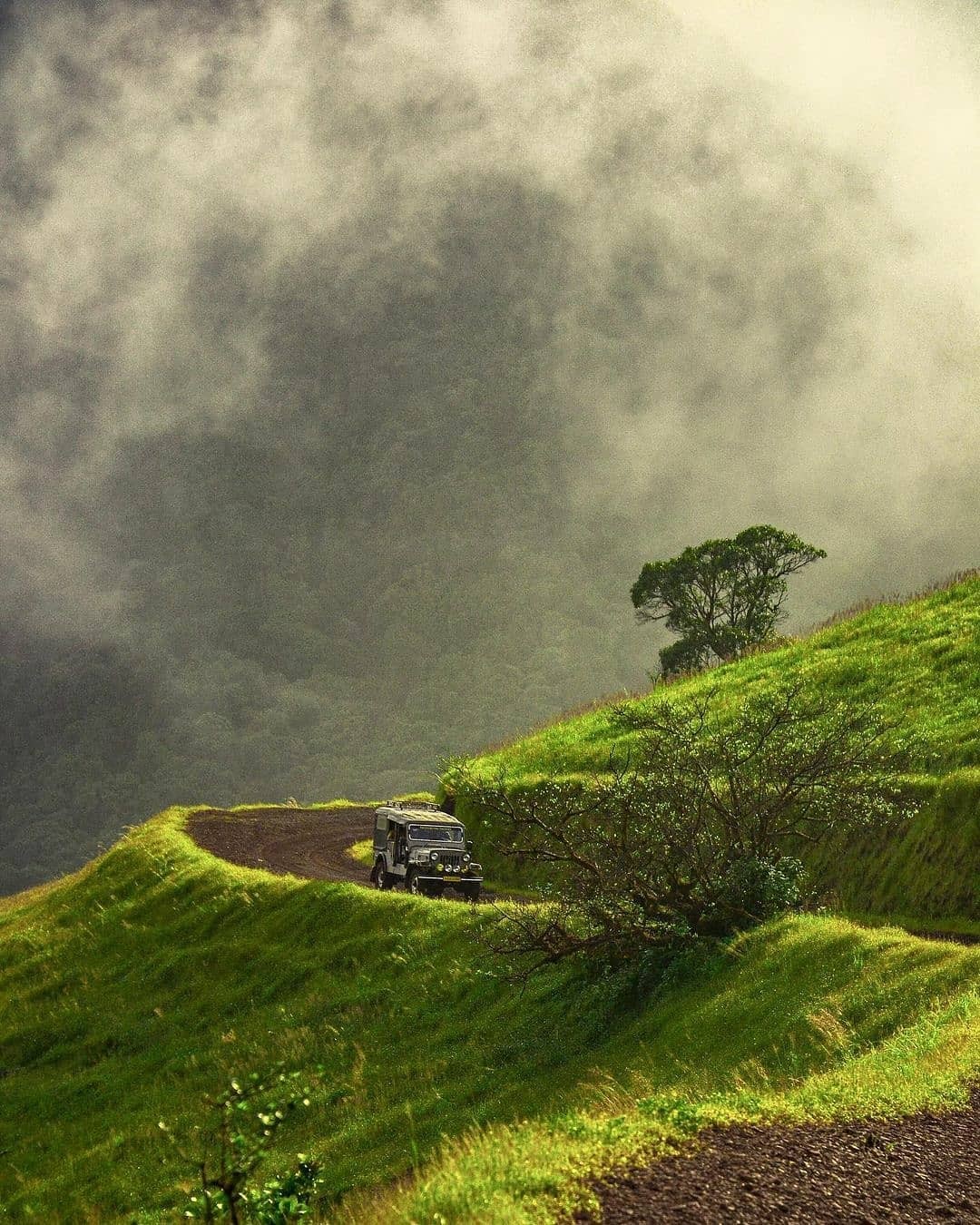 Kodachadri hills and waterfalls