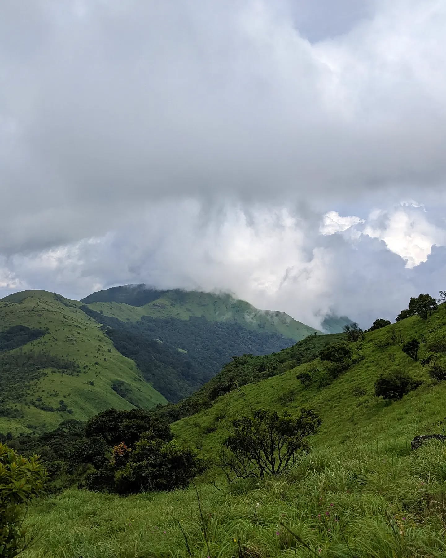 Tadiandamol peak